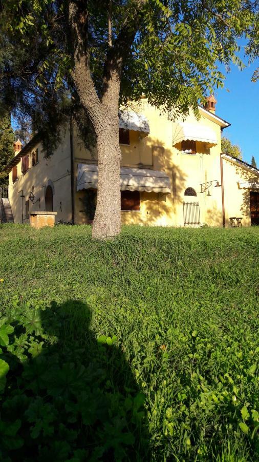 I Fagiani B&B リミニ エクステリア 写真